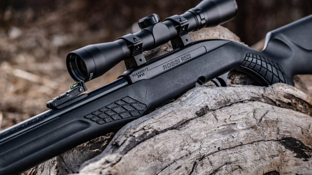 Rossi RS22 Gallery Or Rio Bravo Rifles 25 Holiday Rebate Allegheny 