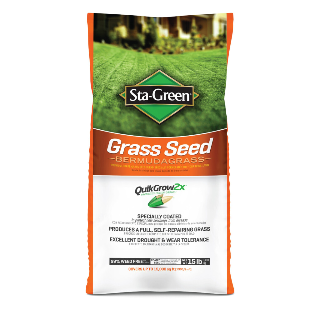 Sta Green Bermuda Grass Seed At Lowes