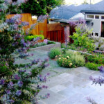 Turf Rebate Landscapes For L A