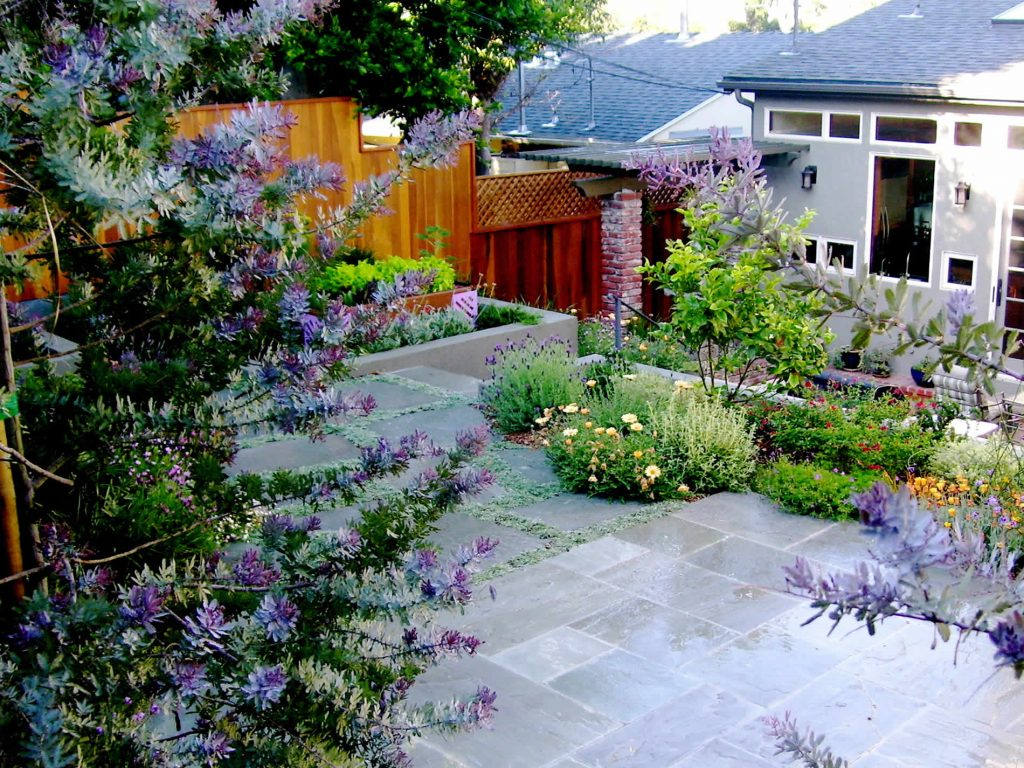 Turf Rebate Landscapes For L A