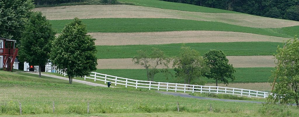 Lower Commodity Prices Temper Farmland Values Farm And Dairy