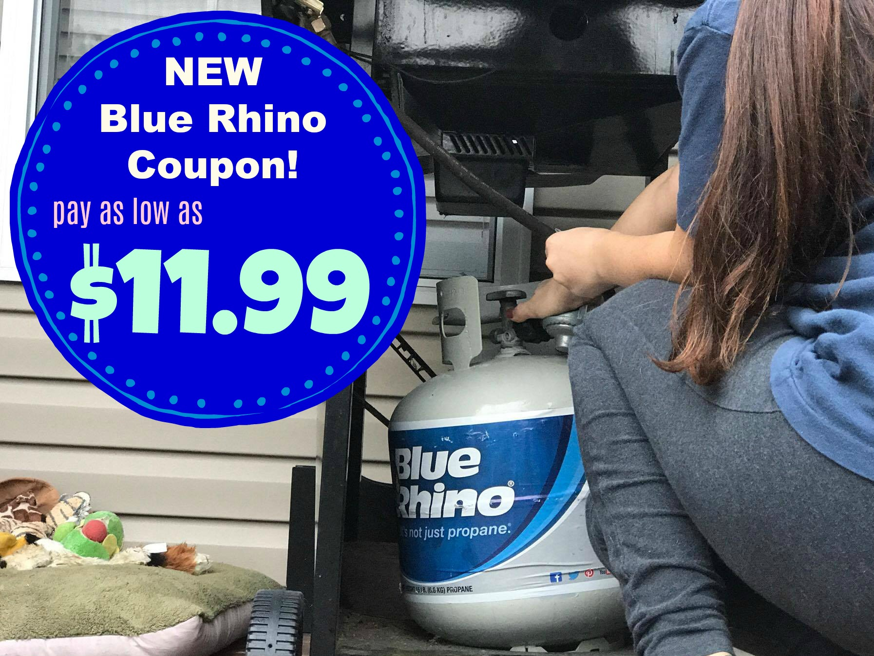 NEW Blue Rhino Coupon Mail In Rebate Propane For As Low As 11 99