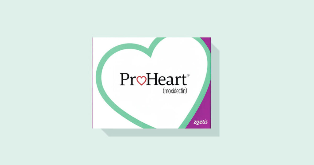 ProHeart Rewards Offers Zoetis Petcare