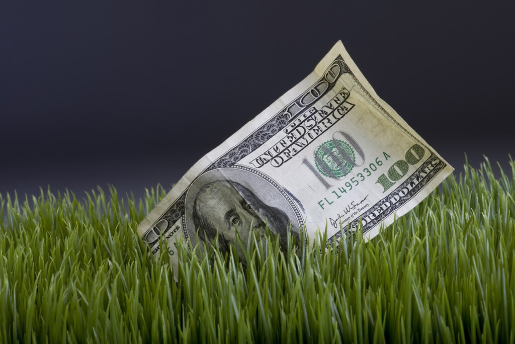 Water Rebate Program Expansion Purchase Green Artificial Grass