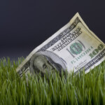 Water Rebate Program Expansion Purchase Green Artificial Grass